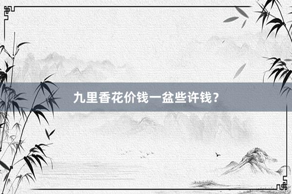 九里香花价钱一盆些许钱？
