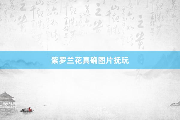 紫罗兰花真确图片抚玩